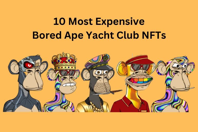 Most Expensive NFT Monkey